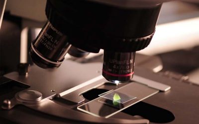 Uncovering the Truth with Ink Dating in Document Examination